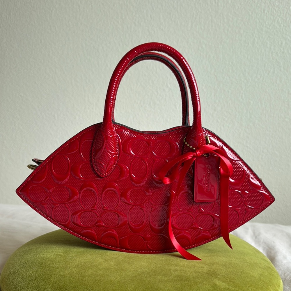 Coach Lip Bag RARE